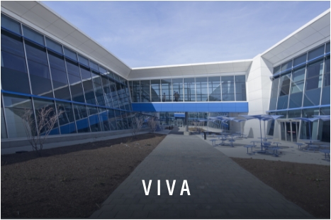 Viva
